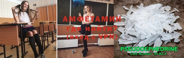стаф Козловка