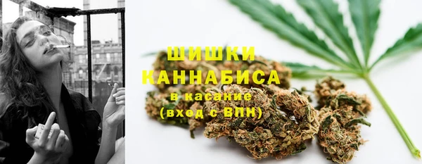 стаф Козловка