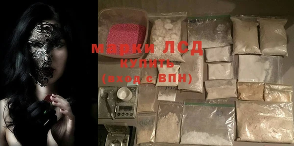 стаф Козловка