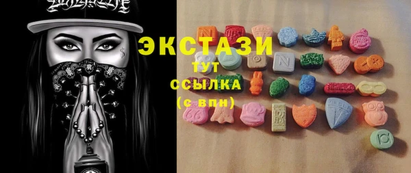 стаф Козловка