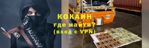 шишки Корсаков