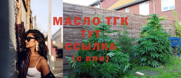 дмт Козельск