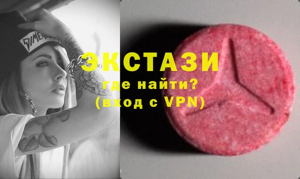 стаф Козловка