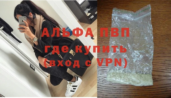 стаф Козловка