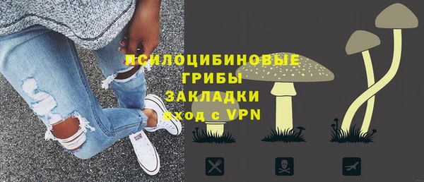 дмт Козельск