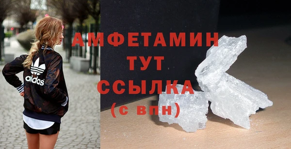 стаф Козловка
